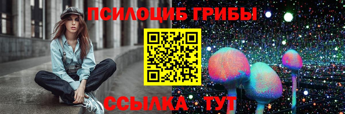 Псилоцибиновые грибы Psilocybine cubensis  наркошоп  Удомля  Псилоцибиновые грибы Psilocybine cubensis  Вход с VPN 